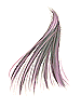 Preto Cabelo