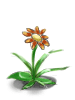 Fancy Flor