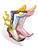 Sapatos de Variant