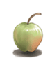 Unripe Maçã
