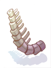 Thick Spine de Tikbalang