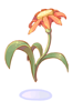 Beautiful Flor