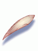 Claw de Rat